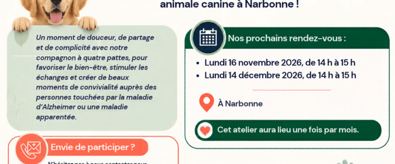 NOUVEAUTÉ À NARBONNE !