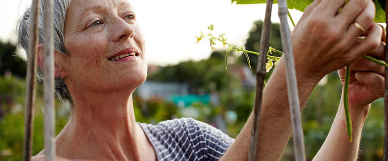 Journée Mondiale France Alzheimer 21 septembre 2022