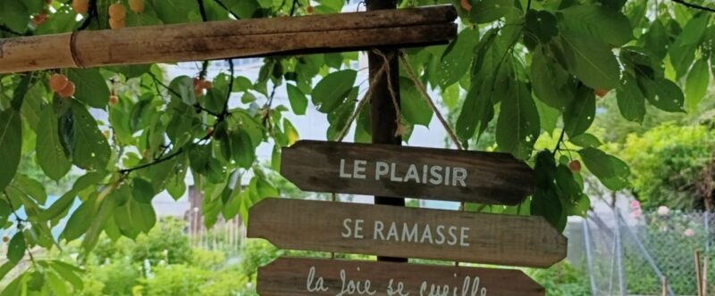 Atelier au jardin thérapeutique à Besançon, les 17 juin, 8 et 22 juillet