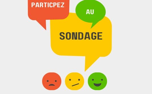 Sondage : Aide et soins à domicile – Cour des comptes