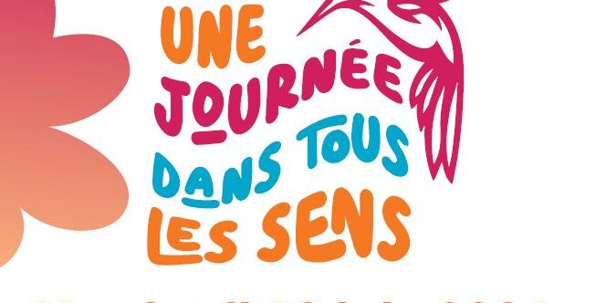 Une journée dans tous les sens à Auxerre